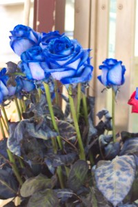 Barcelona 11-7-05 052