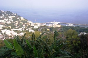Capri 11-1-05 06