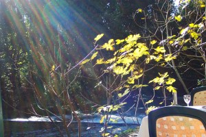 Dubrovnic 10-27-05 26