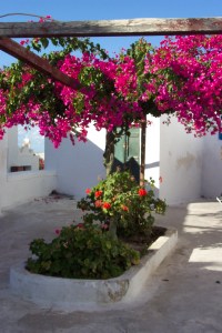 Santorini 10-30-05 113